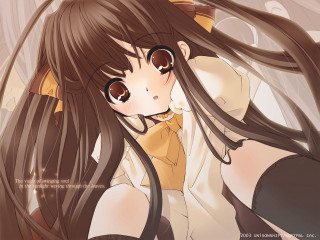 Girl longhair cat ears yellow - the wind free wallpaper