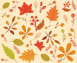 Autumn leaves berries illustration julia - david brewster free wallpaper