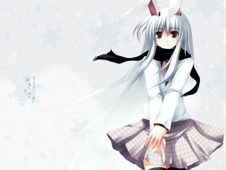 White hair girl cat ears - white hair free wallpaper