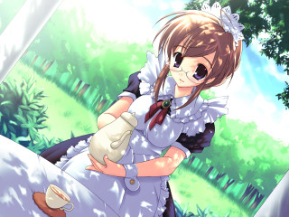Woman dress gloves cat outdoors - her hand and a cat free wallpaper