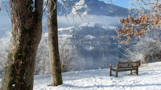 Snowy bench tree mountain lake - a lake in the background free wallpaper