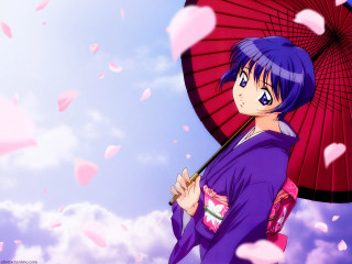Blue pink cherry blossoms umbrella - an umbrella in front free wallpaper