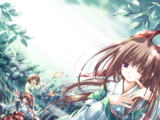 Girl forest magic anime bamboo - the background free wallpaper