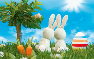 Stuffed rabbits grass tree eggs - happy free wallpaper