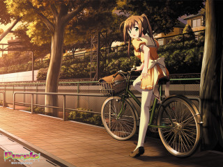 Woman bike fence trees sunset - a basket free wallpaper