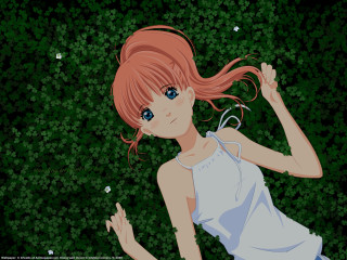 Pink hair girl field flowers - closed free wallpaper