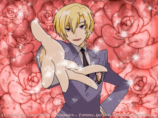 Man suit tie cat rose - a cat in front free wallpaper