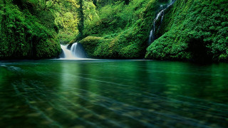 Waterfall green forest boat water 2 - free nature wallpaper