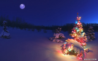 Christmas tree snow night full 8 - a full moon in the sky free wallpaper