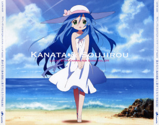 Girl white dress beach ocean - a white dress and hat free wallpaper