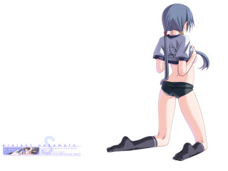 Woman bluehair kneeling back anime - transgressive free wallpaper