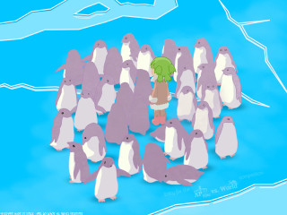 Penguins person green umbrella blue - a group of penguins free wallpaper