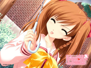 Girl umbrella brick wall braid - a brick wall behind her free wallpaper