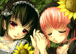 Anime girls sunflowers daisies holding - one girl free wallpaper