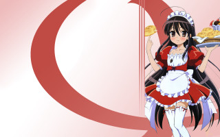 Maid girl tray food q - a cake free wallpaper