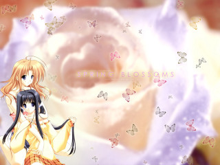 Girl cat butterflies anime remodernism - a girl holding free wallpaper for desktop