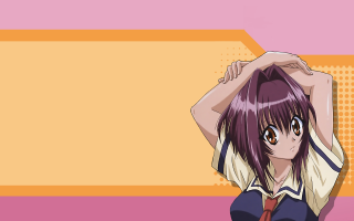Purple haired girl sailor uniform - anime visual free wallpaper