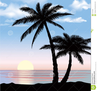 Palm tree beach sunset ocean 2 - sunset free wallpaper