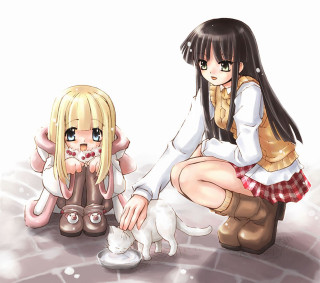 Girl cat anime schooluniform manga - the ground free wallpaper