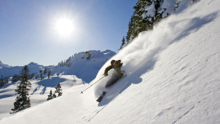 Skiing snowy mountain trees sun 2 - round free wallpaper