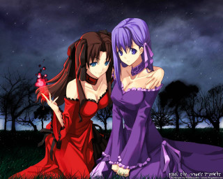 Anime girls night starry sky - ufotable free wallpaper