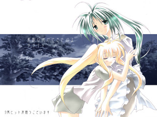 Anime girls hug snow tree - covered ground free wallpaper