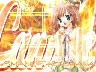 Amane tachibana girl sitting autumn - charly amani free wallpaper