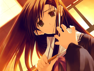 Ayako rokkaku serious woman school - a stick free wallpaper