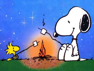 Snoopy dog campfire sitting lap - a campfire free wallpaper