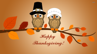 Two owls branch happy thanksgiving - processed free wallpaper
