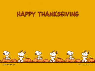 Happy thanksgiving snoopy family pumpkins - allen tupper true free wallpaper