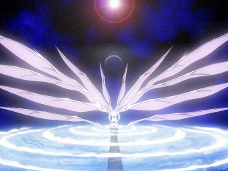 White bird flying blue water - a bright sun in the background free wallpaper