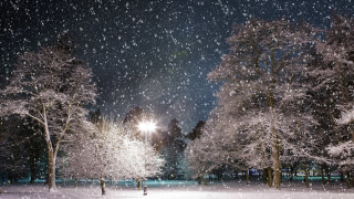 Snowy night park trees lights 4 - a matte painting free wallpaper