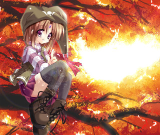 Woman tree branch autumn leaves - a tree branch in front free wallpaper