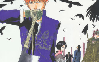 Purple coat birds sword manga - official art free wallpaper for desktop