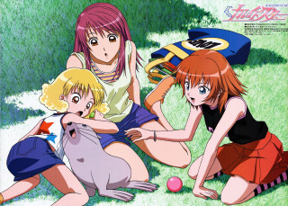 Girls cat dog field blonde - a group of girls free wallpaper