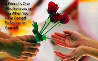 Hands holding rose quote image - free love wallpaper