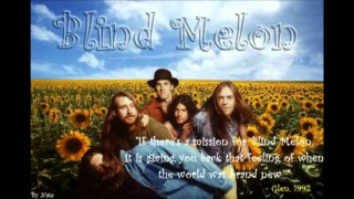 Sunflower field group people quote - balcomb greene free wallpaper