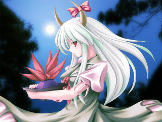 White hair horns pink flower - a pink object free wallpaper