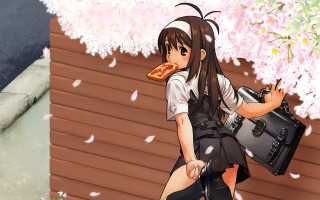 Girl bag pizza cherryblossoms anime - cherry blossom free wallpaper