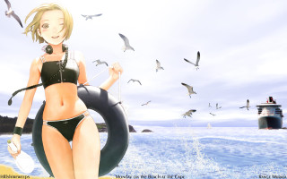 Beach woman bikini ship birds - sots art free wallpaper