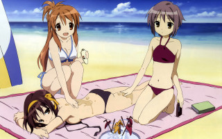 Beach girls bikinis towel drink - the other hand free wallpaper