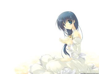 White dress flower sitting blue - her chest free wallpaper