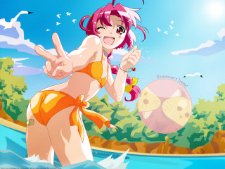 Woman bikini water ball bird - a ball free wallpaper