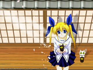 Girl schooluniform beer cat kyoto - a girl in a school uniform holding free wallpaper