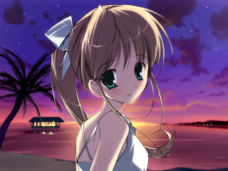 Beach sunset girl ponytail palm - a beach free wallpaper for desktop