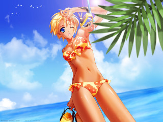 Beach bikini umbrella palm ocean - a palm tree in the background free wallpaper