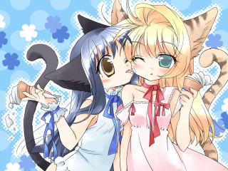Anime catgirls kissing icecream pawprint - and a cat free wallpaper