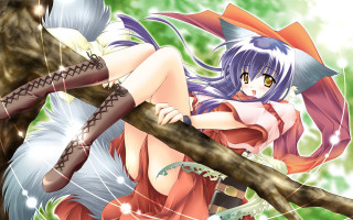 Woman red dress tree fox - a detailed drawing free wallpaper