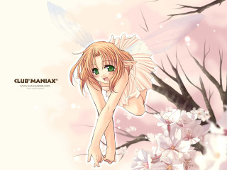 Girl green eyes pink dress - green eye free wallpaper
